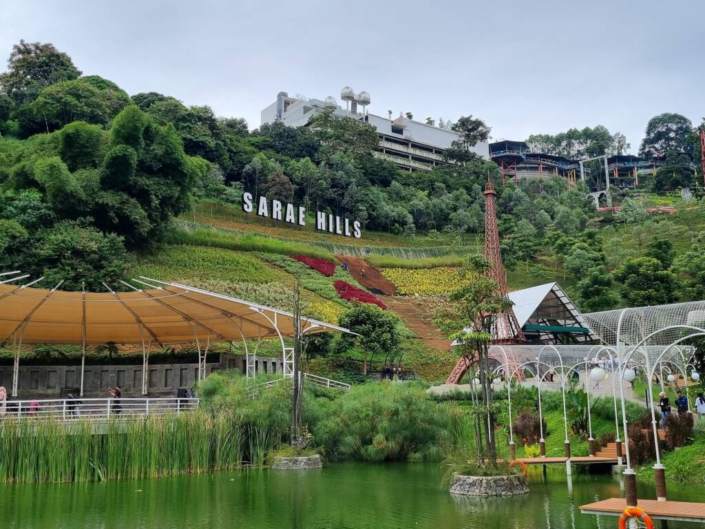 Sarae Hills