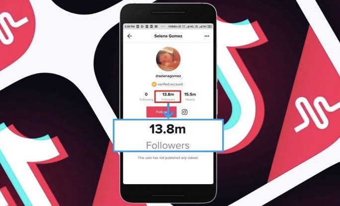 followers tiktok